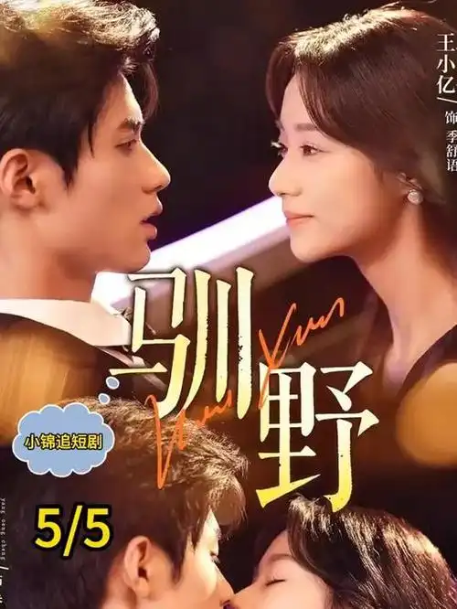 都市情感短剧合租第七天海报